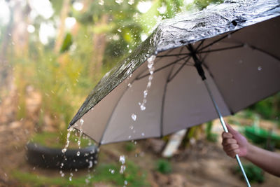 Close-up of wet hand holding umbrella