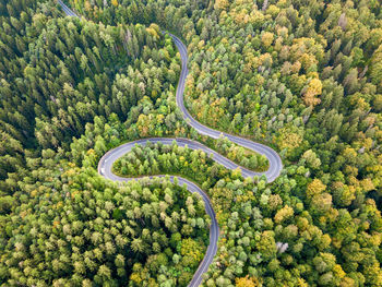 Winding road from high mountain pass, in summer time. aerial view by drone. romania