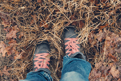 Low section of man standing on dry plants