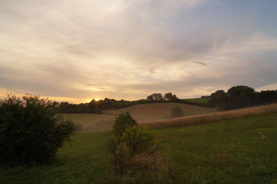 Scenic view of field against sky during sunset