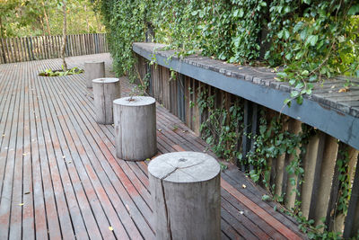 Wooden railing by plants in yard