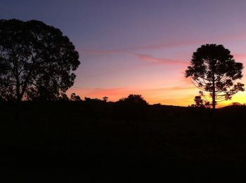 Silhouette of trees at sunset