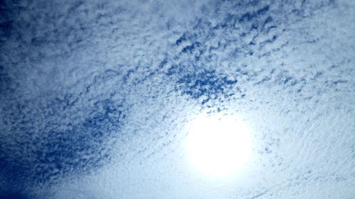 Low angle view of trees against blue sky