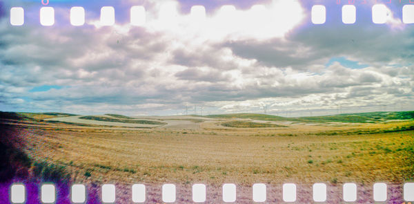 Scenic view of field against sky