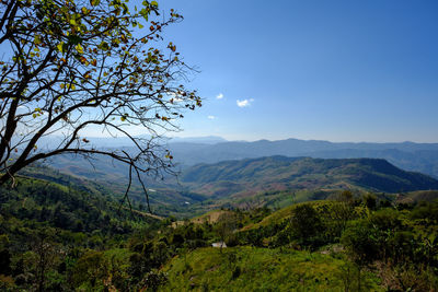 Scenic view of tree mountains against sky