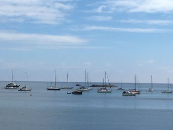 Sailboats moored in marina