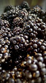 Close-up of coffee beans on table