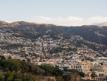 Funcha on the island of madeira