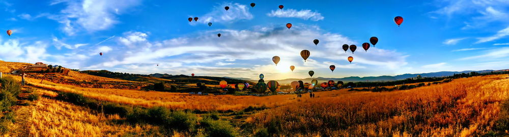 Panoramic shot of hot air balloons on field against sky