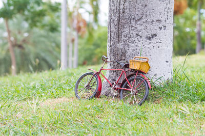 Bicycles on tree trunk in park