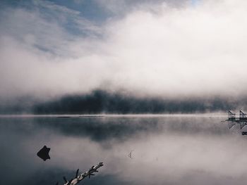 Reflection of trees in lake