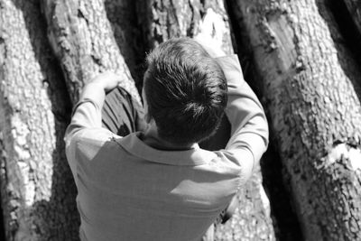 View of tree trunk