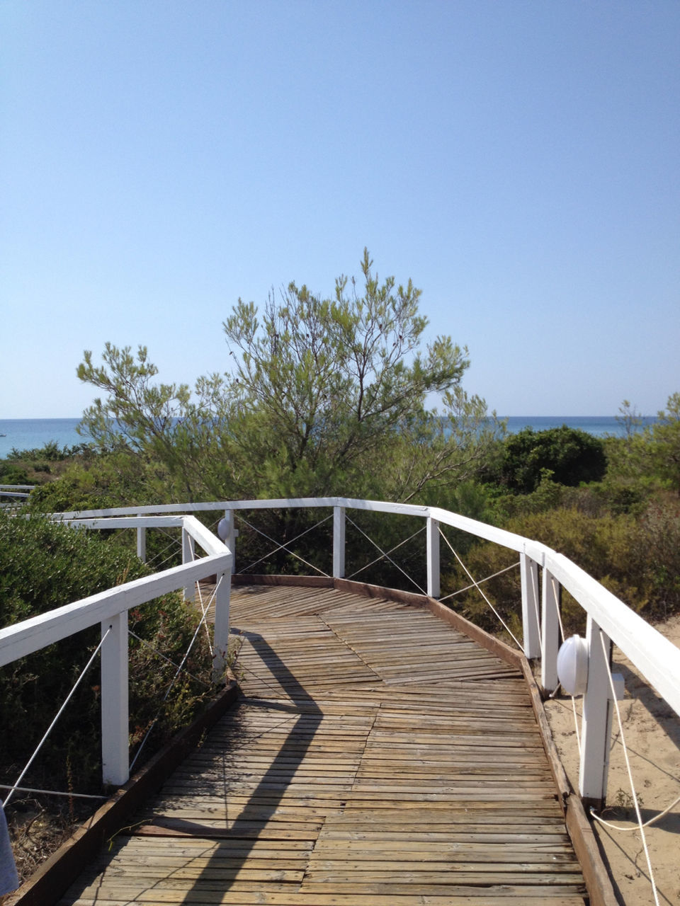 railing, clear sky, tranquility, tranquil scene, tree, the way forward, copy space, boardwalk, blue, wood - material, nature, empty, scenics, water, beauty in nature, grass, sunlight, sky, day, wood paneling