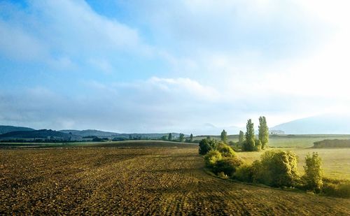 Scenic view of agricultural field against sky