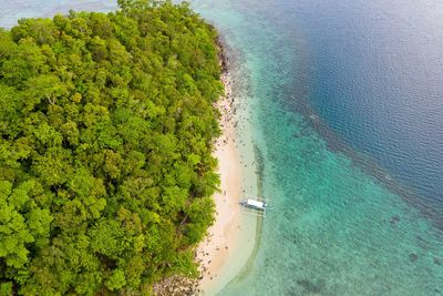 High angle view of sea and trees