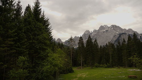 Scenic view of trees and mountains against sky