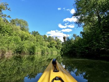 Scenic view of trees in forest against sky