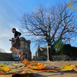 Low angle view of bare tree in city against sky