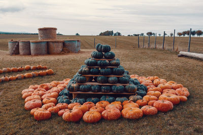 Stack of pumpkins on field against sky