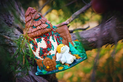 Close-up of stuffed toy on tree