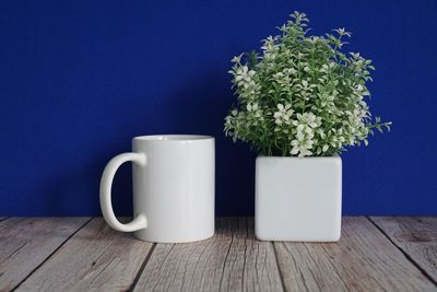 Potted plant on table