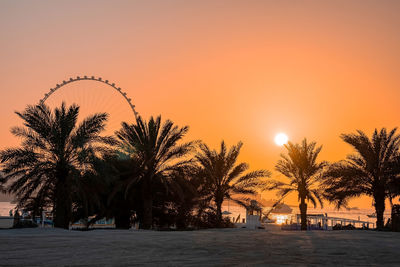 Ain dubai, the biggest ferris wheel in the world.