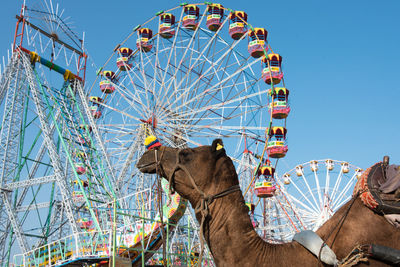 Low angle view of ferris wheel against clear blue sky