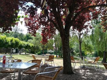 Empty chairs and tables in park