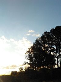 Low angle view of silhouette trees against sky during sunset