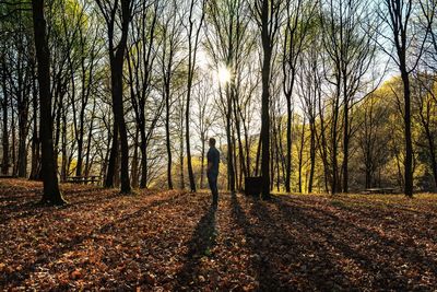 Rear view of person standing by trees in forest during autumn