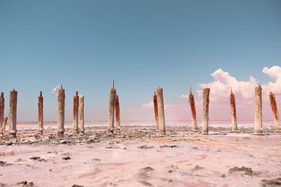 Panoramic view of wooden posts on beach against clear sky