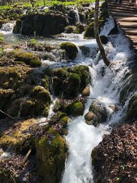 Scenic view of waterfall in forest