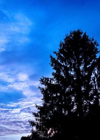 Low angle view of silhouette trees against blue sky