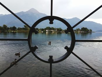 High angle view of ducks swimming on lake seen through window