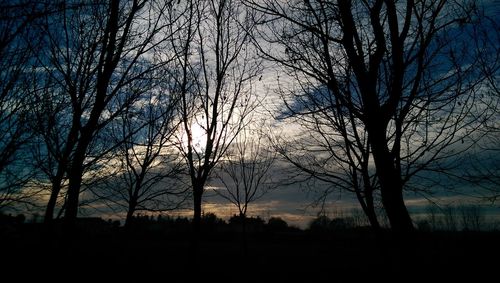 Silhouette bare trees against sky during sunset