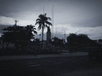 Palm trees in city against sky