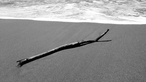 High angle view of driftwood on beach