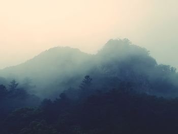 Scenic view of forest against sky during foggy weather