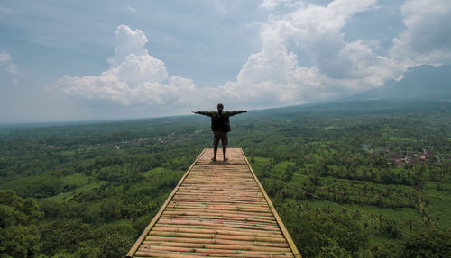 Rear view of woman with arms outstretched looking at landscape