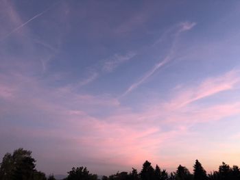 Low angle view of silhouette trees against sky at sunset