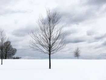 Bare tree on snow covered landscape against sky