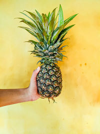 Midsection of person holding fruit against wall