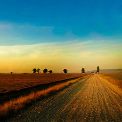 Scenic view of rural landscape