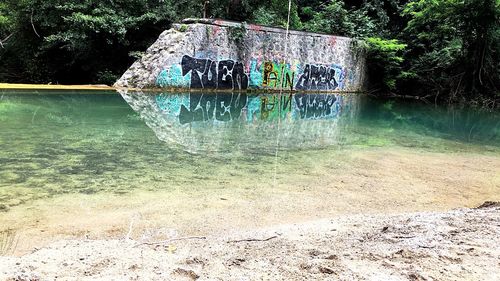 Graffiti on wall by lake in forest