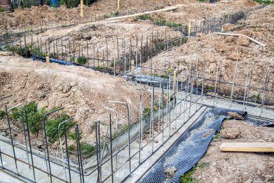 High angle view of trees along plants
