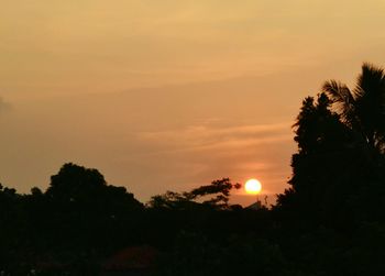 Silhouette trees against sky during sunset