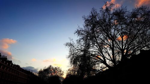 Silhouette trees against sky at sunset