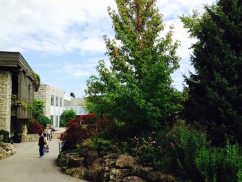 Man walking by trees against sky