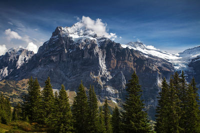 Low angle view of snowcapped mountain against sky