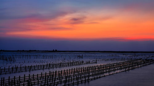 Beautiful oyster field sea surface after sunset